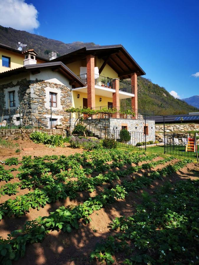 Lessolo Agriturismo La Ca' D'Amelio מראה חיצוני תמונה