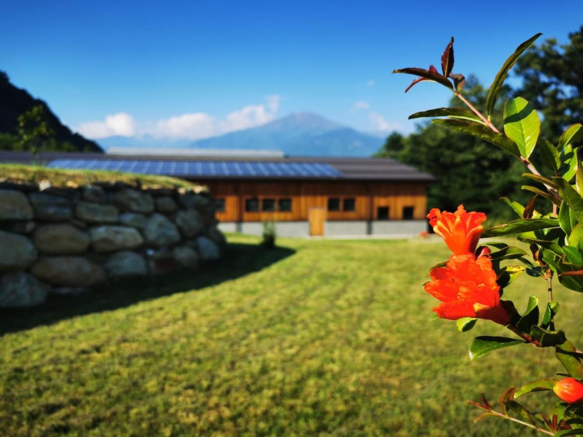 Lessolo Agriturismo La Ca' D'Amelio מראה חיצוני תמונה